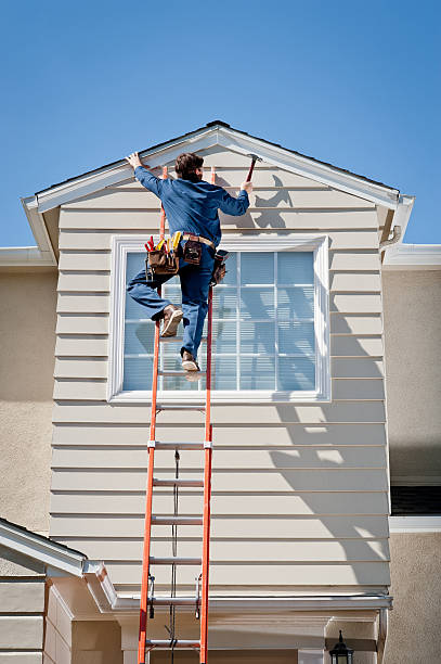 Affordable Siding Repair and Maintenance Services in Algonquin, IL